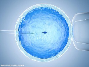 当院について